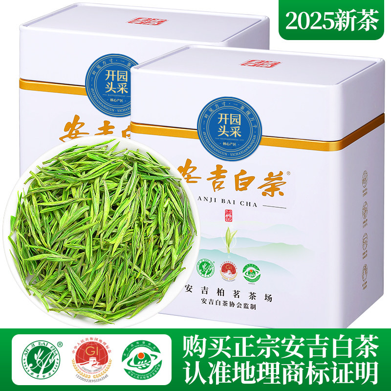 2025新茶安吉白茶开 园头采芽特级明前绿茶官方正品茶叶礼盒装250