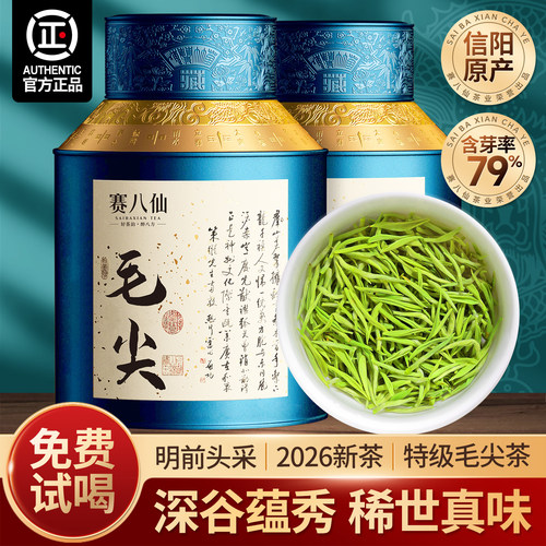 2026新茶信阳毛尖特级绿茶叶500g