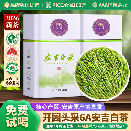 安吉白茶2026新茶特级6A头采茶叶