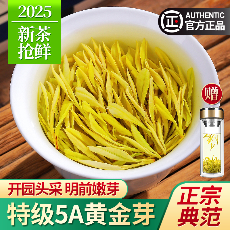 黄金芽茶叶2025新茶特级5A绿茶