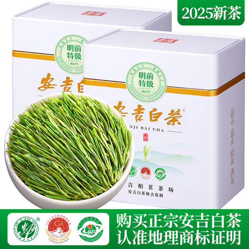 安吉白茶2025新茶特级茶叶绿茶