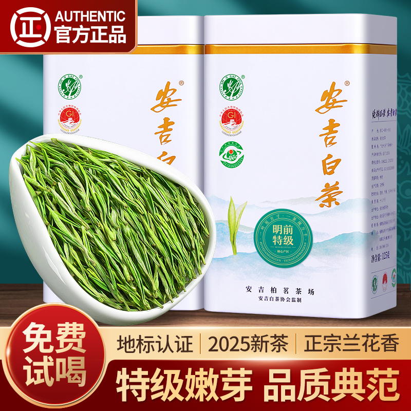 2025新茶安吉白茶绿茶特级3A茶叶