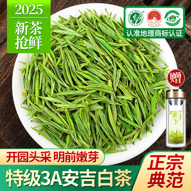 安吉白茶2025新茶特级3A茶叶500g