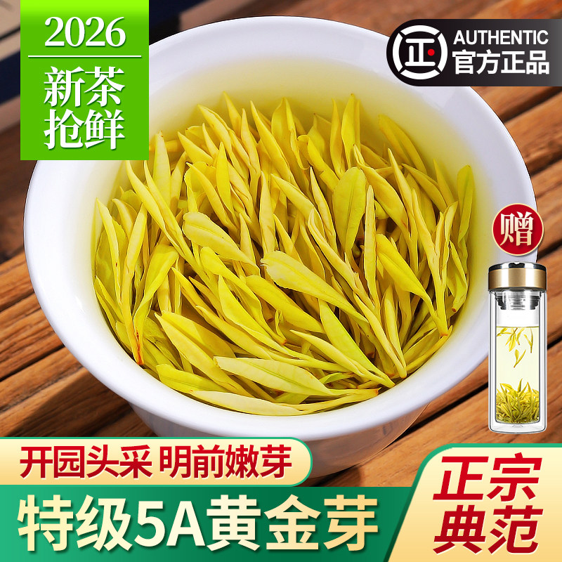 2026新茶黄金芽茶叶特级5A头采明前绿茶安吉奶白茶春茶礼盒装500g