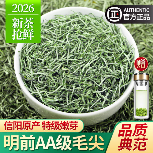 信阳毛尖2026新茶明前特级2A茶叶