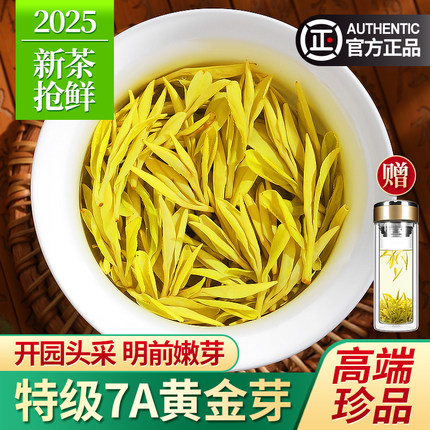 2025新茶黄金芽茶叶珍品7A特级头采明前绿茶安吉奶白茶礼盒装500g