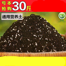 营养土30斤装植物多肉经济装专用土花木通用型配好植物家庭家用