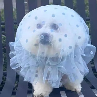 防乱吃头套狗狗头纱舒适透气中大型犬专用嘴套防咬人误食防舔网套