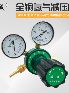 YQQ-07氢气减压器YQQ-352全铜减压阀稳压器调压阀1.6*25MPa全铜