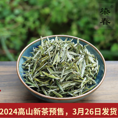 新茶明前芽茶染春清甜回甘