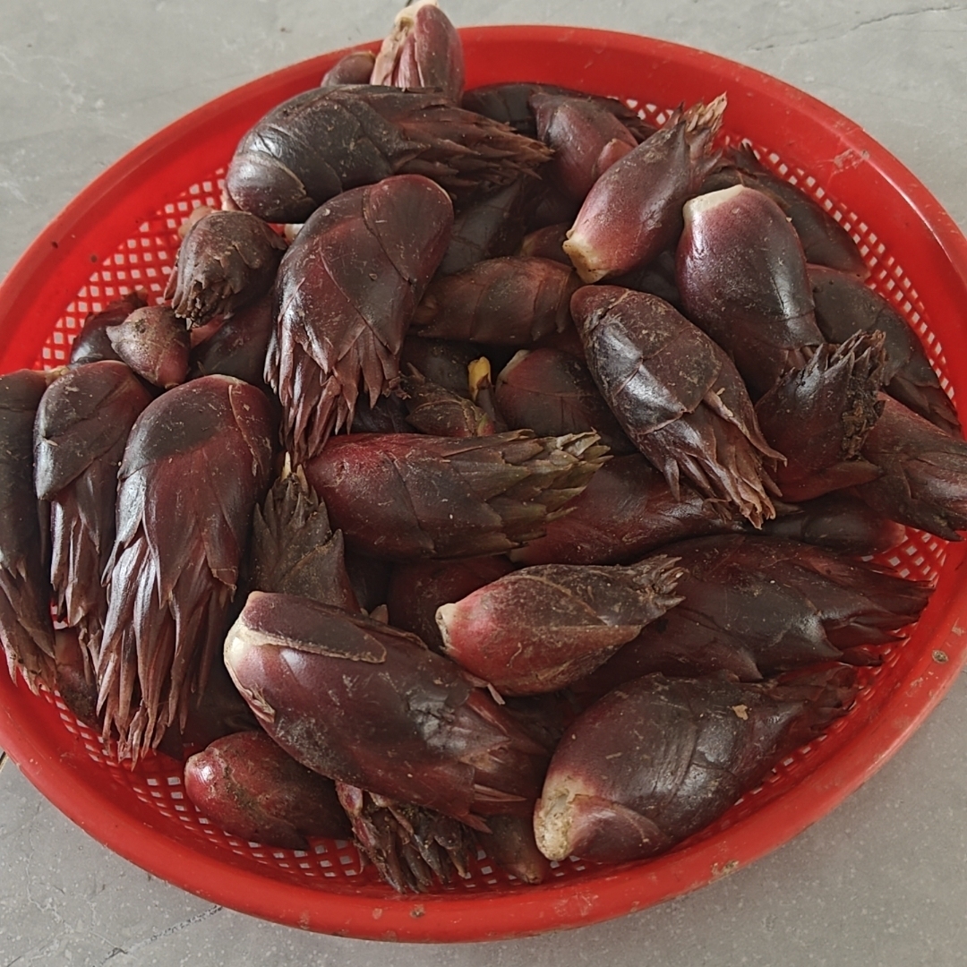 【尾季货不退】新鲜阳荷姜腌制可选阳禾姜腌洋荷洋河姜下饭菜泡菜