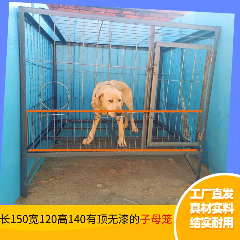 【子母笼】大型犬狗笼钢筋角铁焊接狗场养殖基地四周底部加密笼