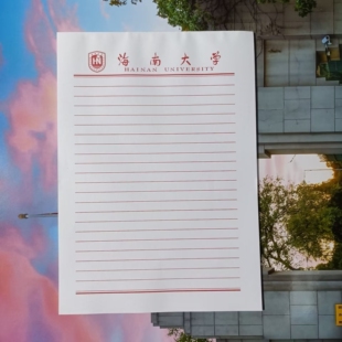 海南大学方格稿纸 海大抬头信纸信笺草稿纸作业纸 海大信纸稿纸