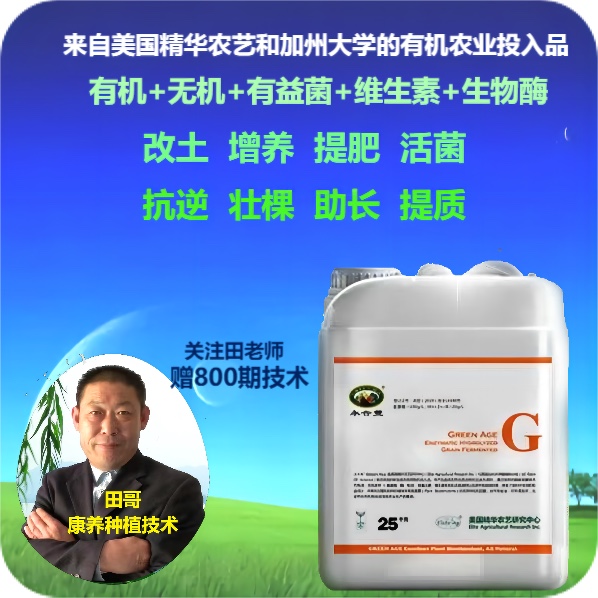 永合丰G-修复土壤促根促长抗逆增强光合作用提高化肥利用率