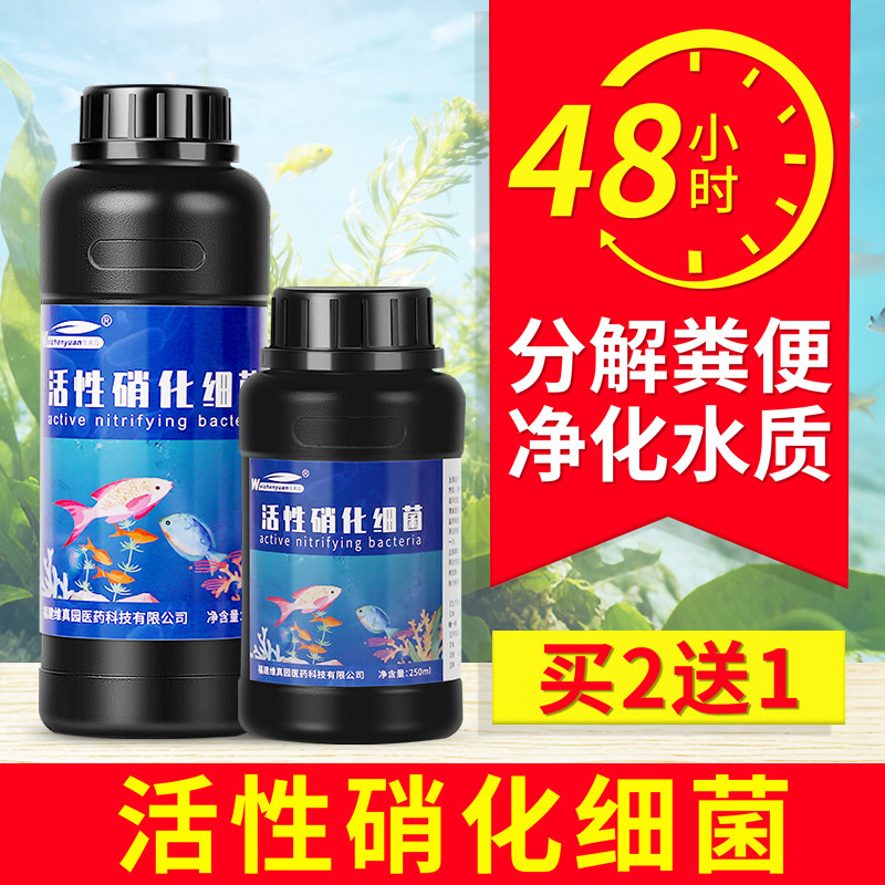 硝化细菌鱼缸用活菌净水剂稳定剂鱼用养鱼用品水族水质活性消化菌