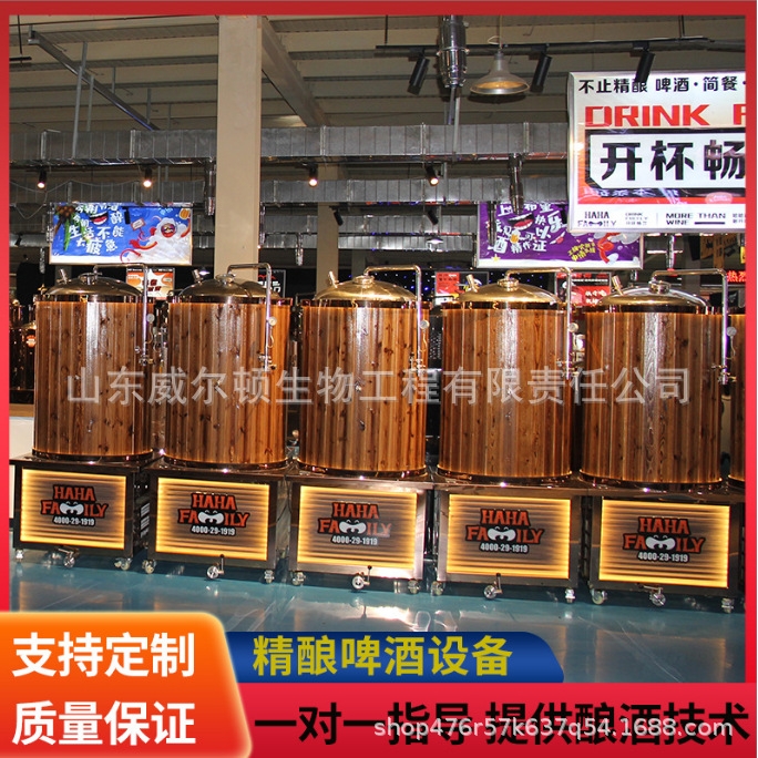 精酿啤酒生产设备 酿酒生产设备 七彩果啤机 送技术配方