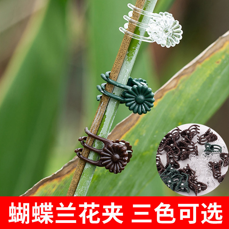 蝴蝶兰夹子兰花支架植物支撑杆爬藤类花卉防倒伏固定专用铁丝园艺
