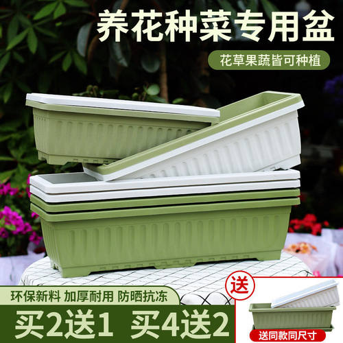 阳台种菜盆专用箱长方形蔬菜种植