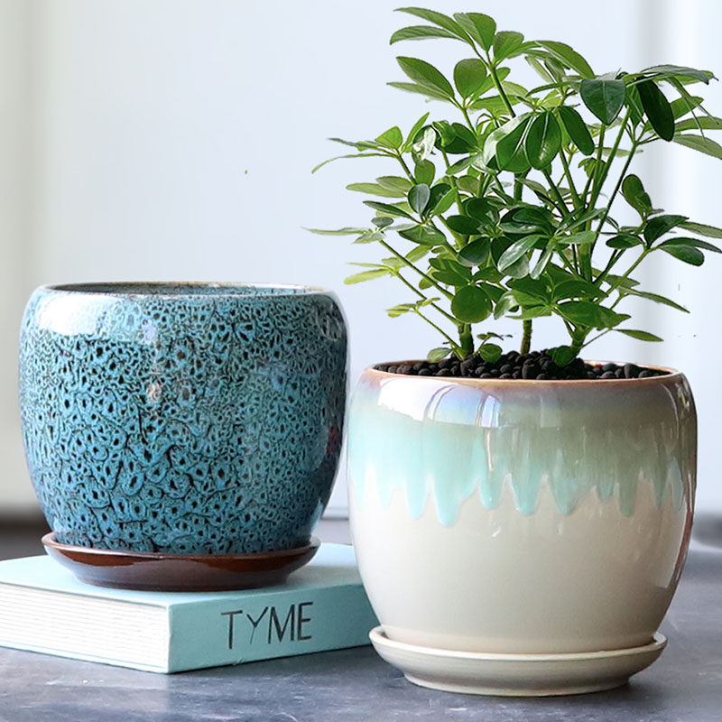 个性花盆陶瓷带托盘蛋形大号室内绿植绿萝吊兰多肉花盆家用清仓,鲜花速递/花卉仿真/绿植园艺,花盆,淘宝优惠券,粉丝福利购,淘宝优惠卷