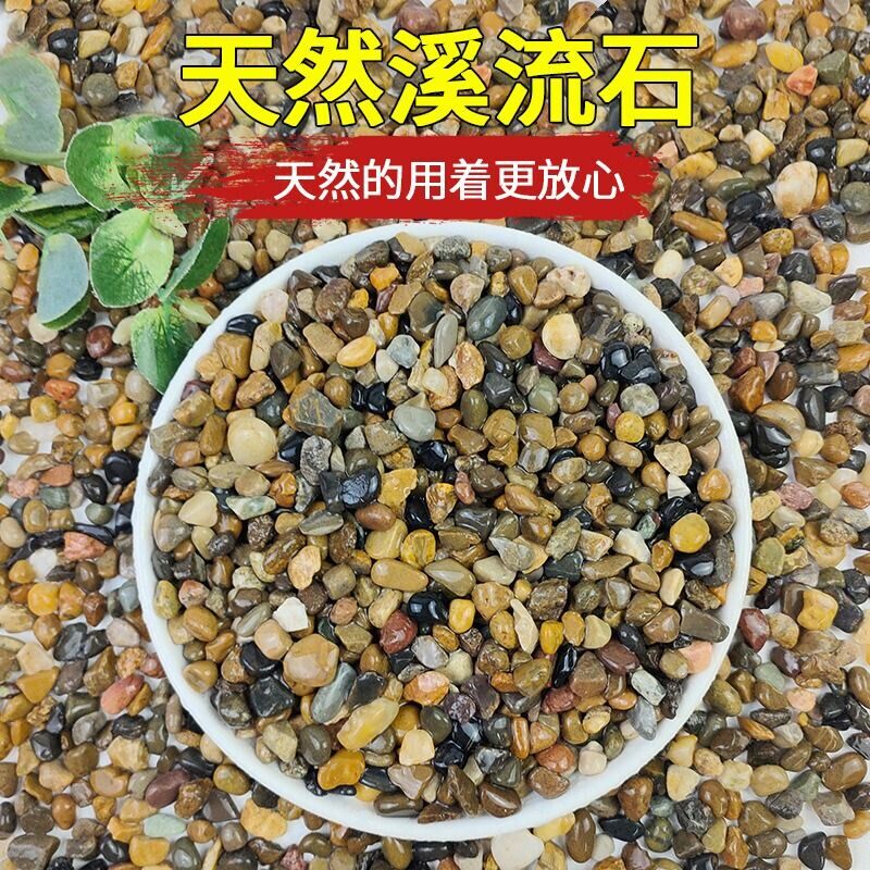 5斤天然鹅卵石原生溪流石鱼缸铺底砂装饰过滤造景小石子豆石养鱼