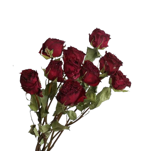 diy手工制作干花玫瑰花花束礼物 真花自然风干装饰永生花一束10朵