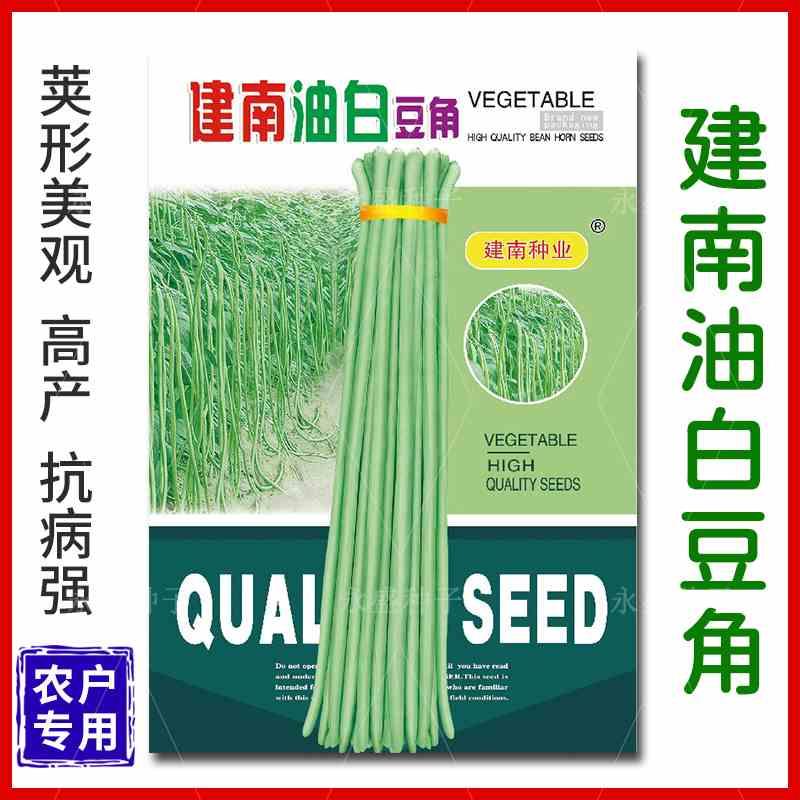 建南油白豆角种子高长豇豆抗病种籽特豆种产八月豆春秋季蔬菜种孑