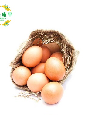 宋书记笨鸡蛋 挨家挨户收的散养笨鸡蛋 第一书记扶贫产品顺丰保养