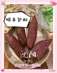 颠覆认知红薯、地瓜、产地。红毛地瓜康平特产 甜过初恋 5斤包邮