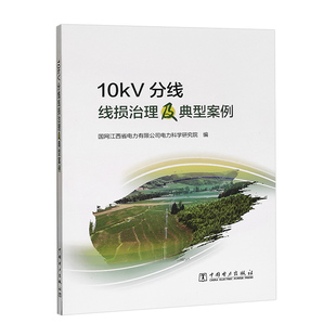 10kV分线线损治理及典型案例
