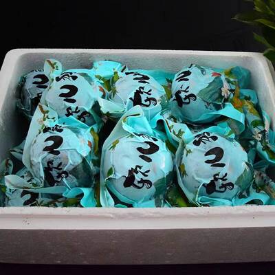 皋兰什川古梨园软儿梨香水化心梨