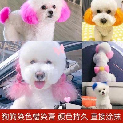 宠物染毛剂染毛膏狗狗专用染发剂持久性贵宾犬比熊去泪痕美毛粉
