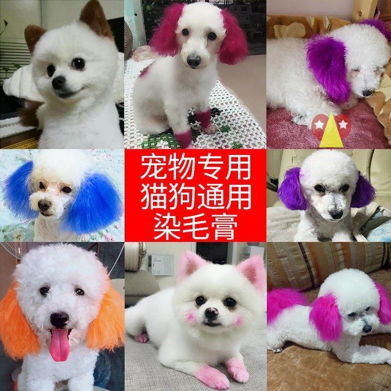 网红宠物染发剂狗狗染毛剂动物染毛膏比熊去泪痕漂白美毛粉猫咪染