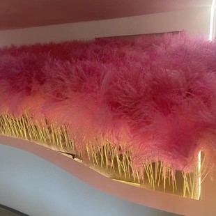 网红粉色芦苇干花花束真花干树枝婚庆现场拍摄道具自然风干芦苇花