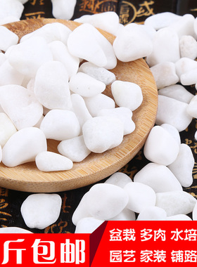 五斤天然白石子造景庭院景观铺路花盆景鱼缸烟灰缸多肉铺面鹅卵石