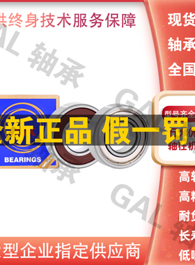 NSK轴承S 6206 ZZ DDU VV 2R S Z hZ NR轴承 P5