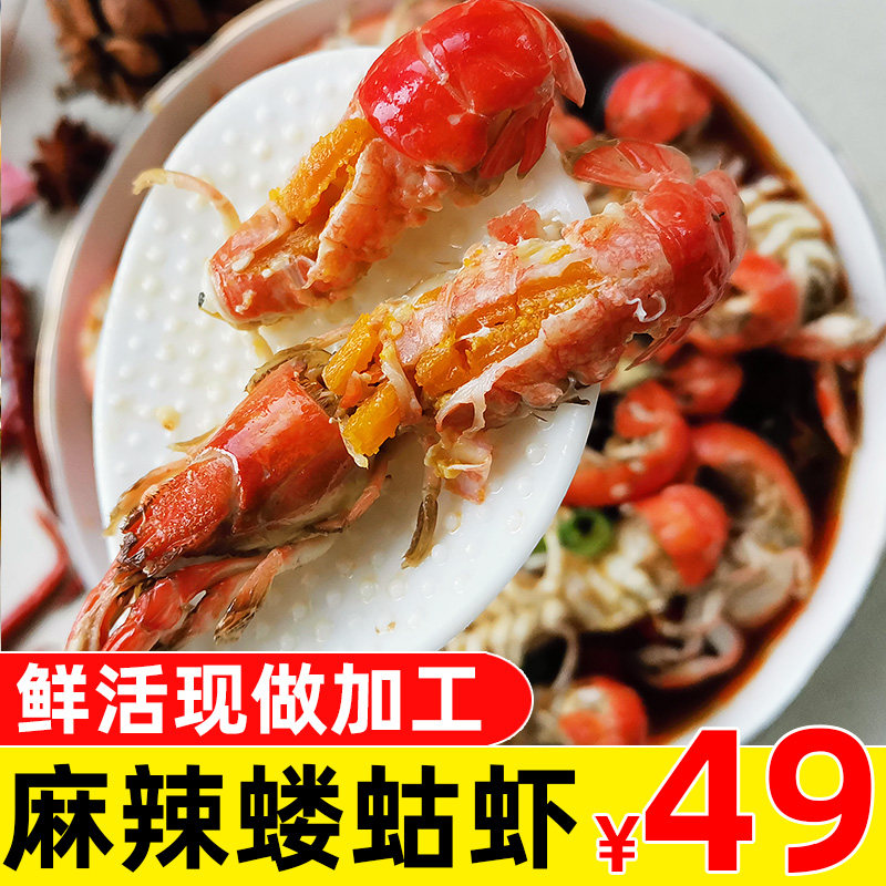 大连麻辣小海鲜鲜活现做麻辣蝼蛄带黄虾狗虾罗锅虾虾狗子卢沟虾