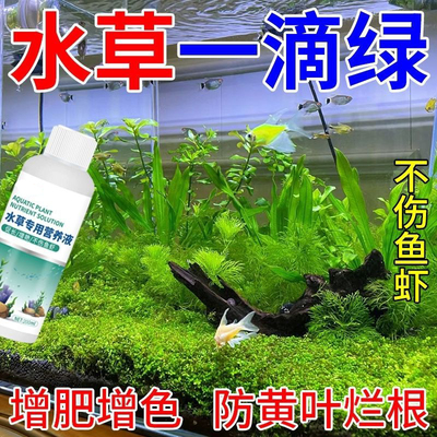 水草一滴绿水草专用液肥水草液态肥料基肥不伤鱼缸造景水草营养液
