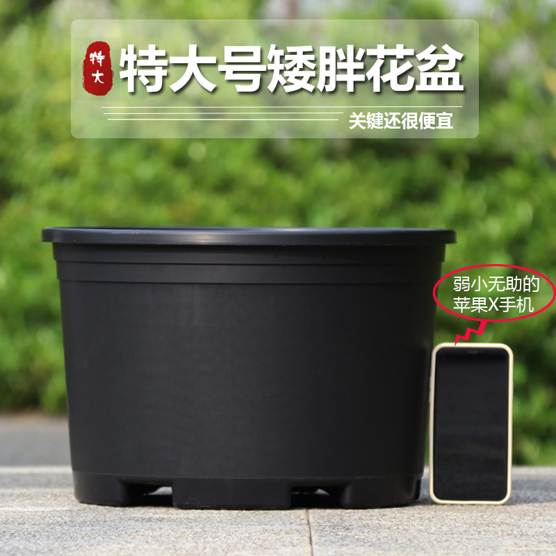 新款加厚黑色矮胖加仑花盆塑料绿萝月季清仓大口径透气小盆栽花盆,鲜花速递/花卉仿真/绿植园艺,花盆,淘宝优惠券,粉丝福利购,淘宝优惠卷