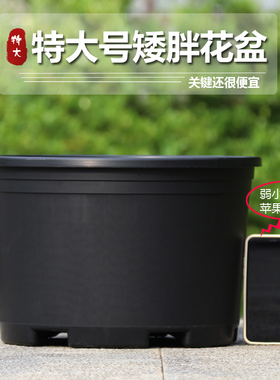 新款加厚黑色矮胖加仑花盆塑料绿萝月季清仓大口径透气小盆栽花盆