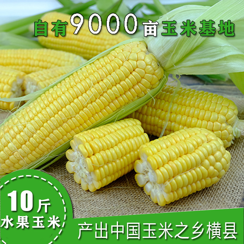 广西横县水果玉米新鲜应季甜玉米棒生吃蔬菜现摘带箱10斤包邮