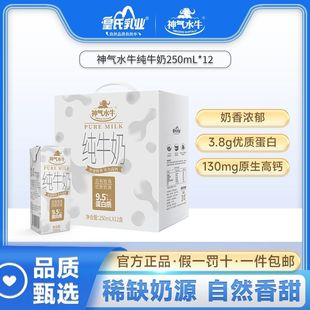 12盒皇氏乳业纯牛奶儿童奶营养奶早餐奶整箱 神气水牛纯牛奶250ML