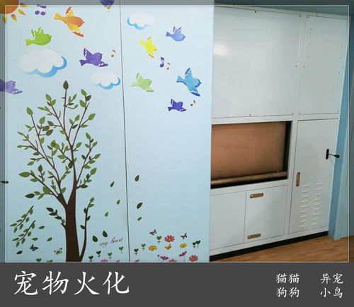 直观无隐性消费宠物殡葬8年直营