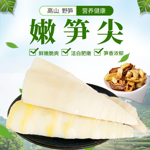 远古山夫嫩笋尖新鲜野笋清水笋尖火锅食材500g 2包免发泡丝无老根