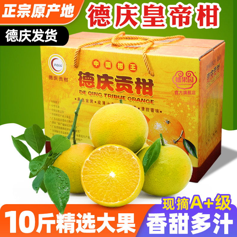 正宗德庆皇帝柑丨原产地大果超甜