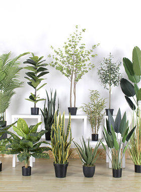 仿真植物盆栽大型仿生绿植落地