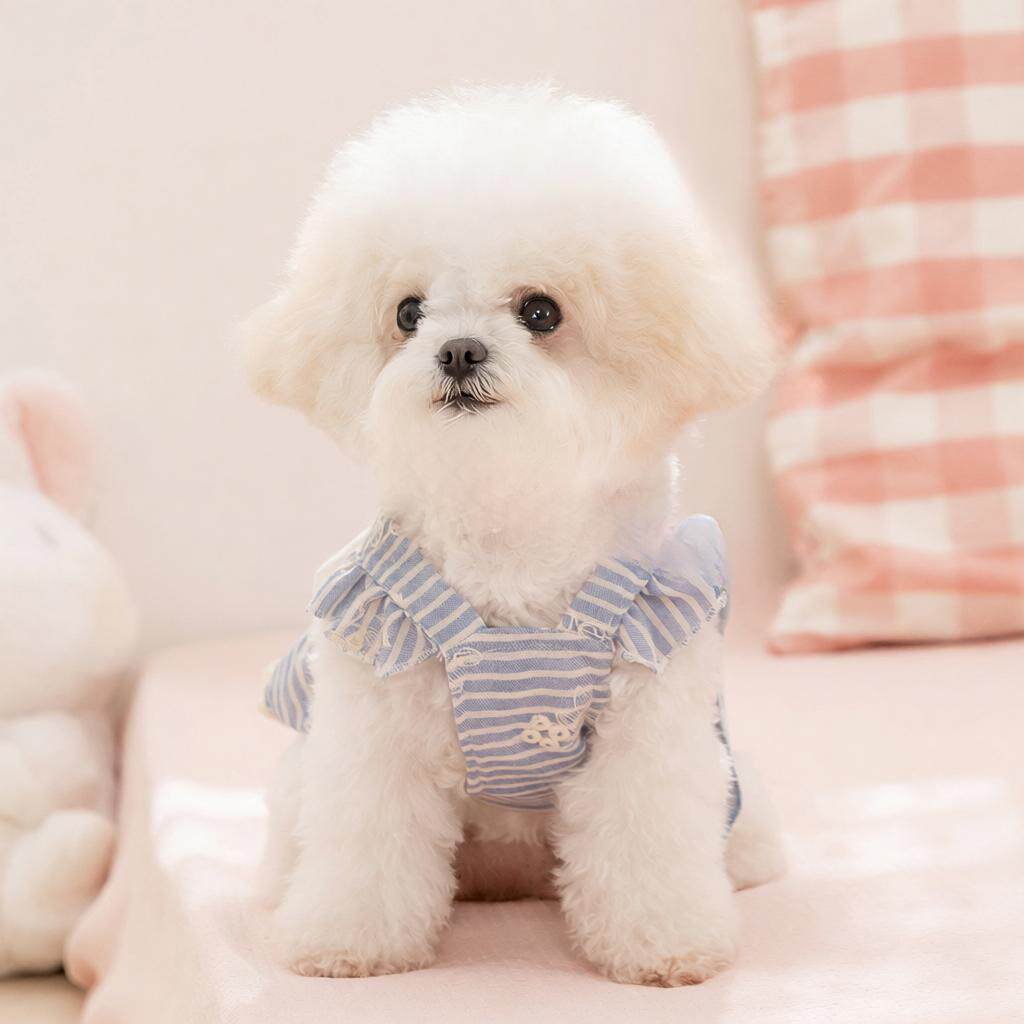 宠物裙子春夏季薄款透气清新条纹小型犬比熊蝴蝶结猫咪小狗狗衣服