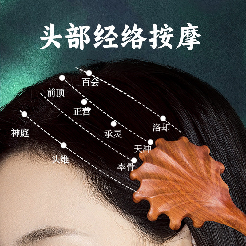 创意贝壳抓钱梳子檀木按