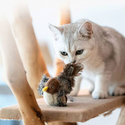 GiGwi贵为猫玩具猫咪自嗨解闷叫叫小鸟宠物用电动发声玩具逗猫棒