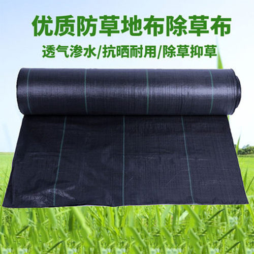 防草布除草布农用打孔盖草抑草遮草布透气透水抗老化果园加厚地膜
