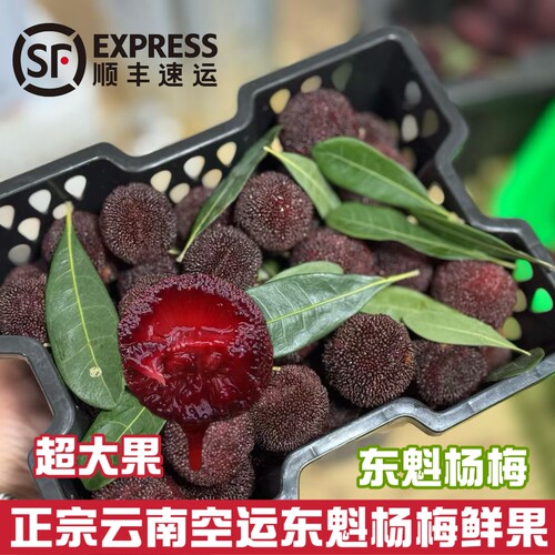 云南东魁新鲜杨梅4斤原箱黑框杨梅鲜果甜多汁顺精选大果孕妇水果